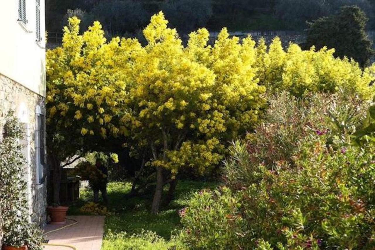 Agriturismo San Michele Di Danio Giovanni Dolcedo Bagian luar foto